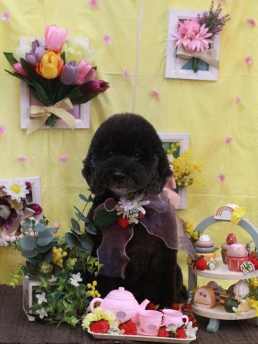 20230324クロちゃん